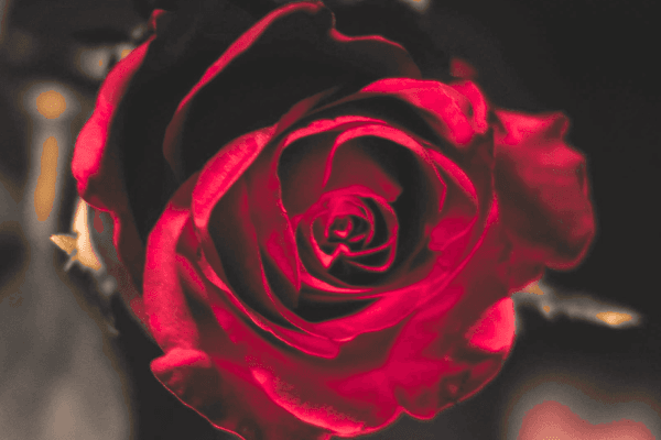 Romance